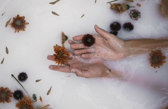 womb-trans-motherhood|