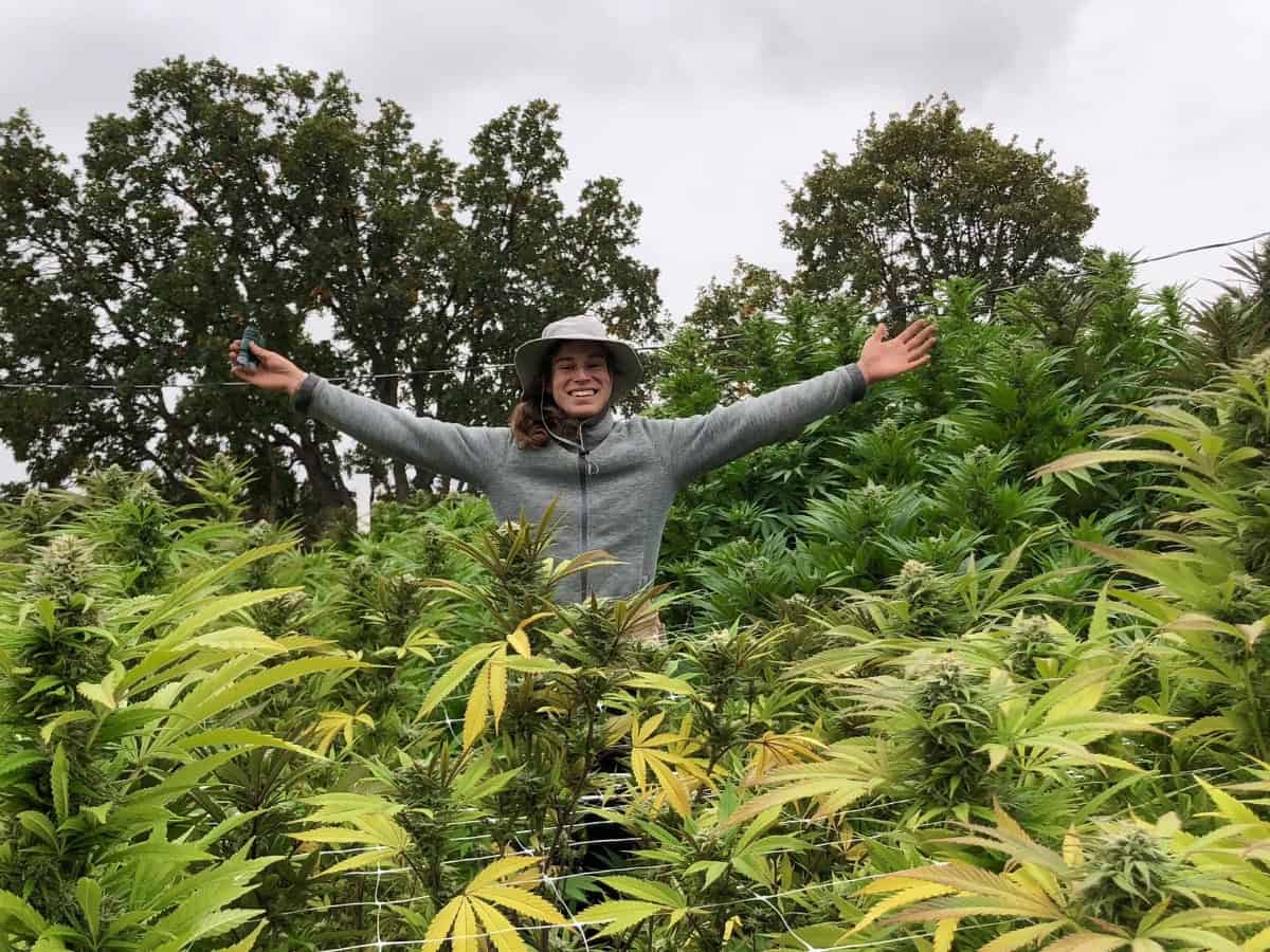 Zooey Zachow with cannabis plants | Image courtesy of Zooey Zachow/Ritual Design