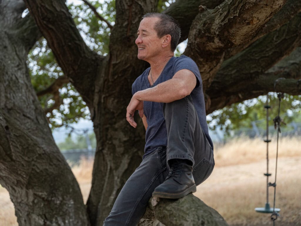 Willy Wilkinson sitting on the branch of a very large tree looking out.